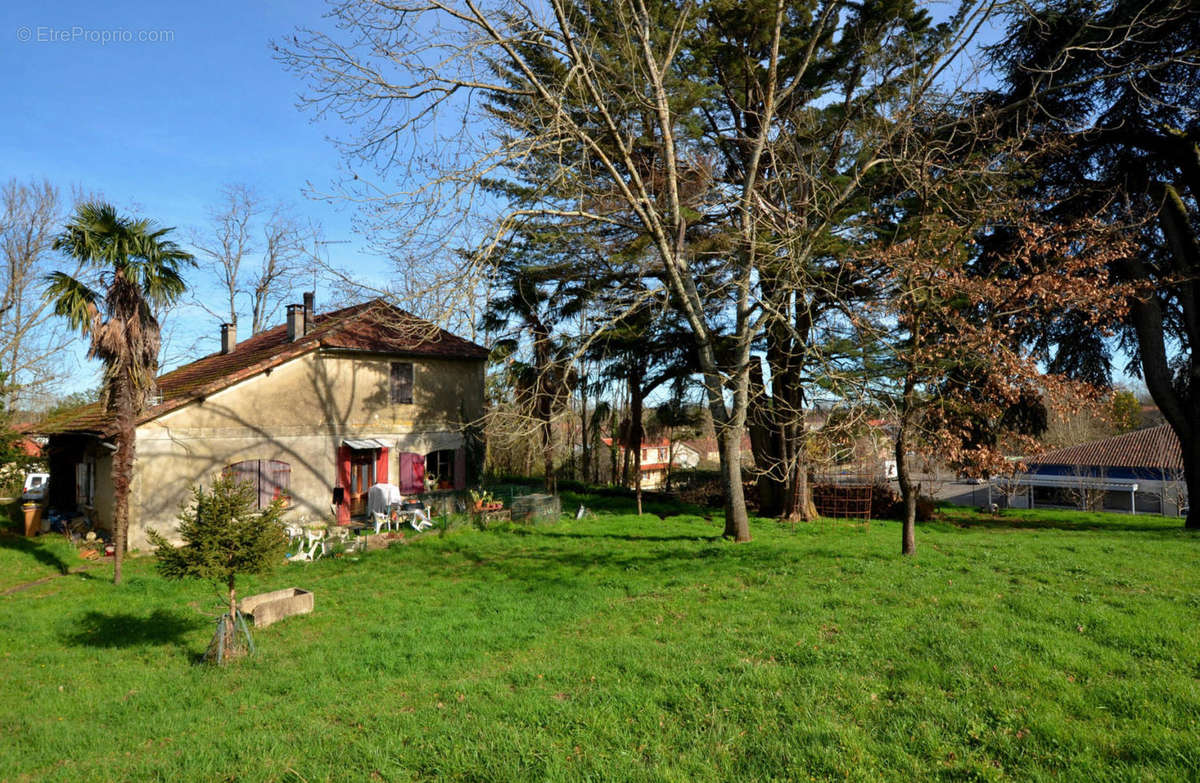 DSC_0088 - Maison à EAUZE