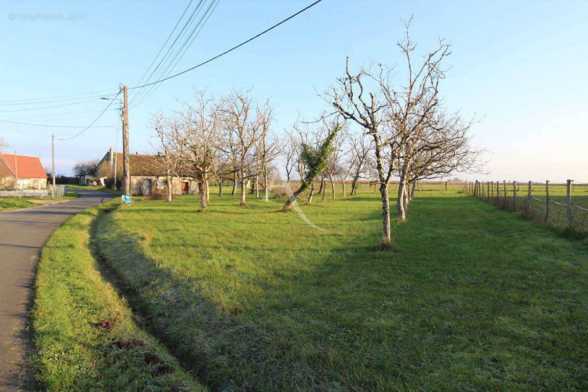 Terrain à MONTEAUX