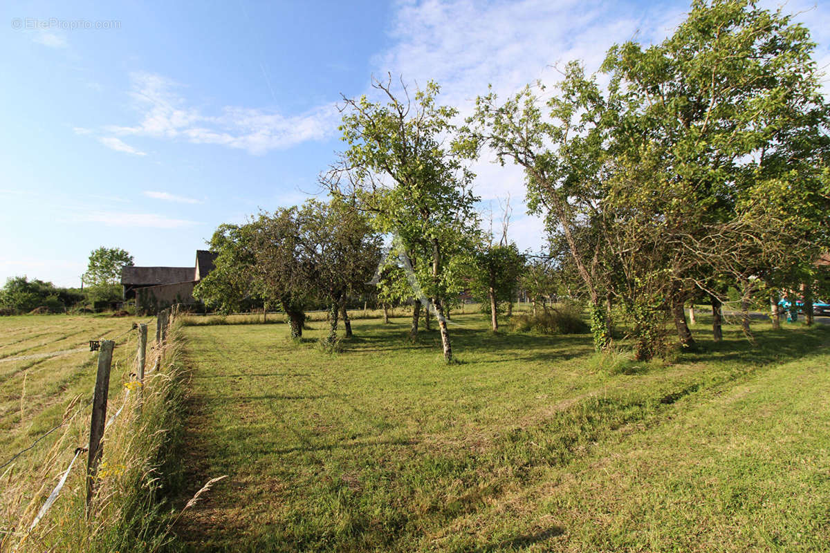 Terrain à MONTEAUX