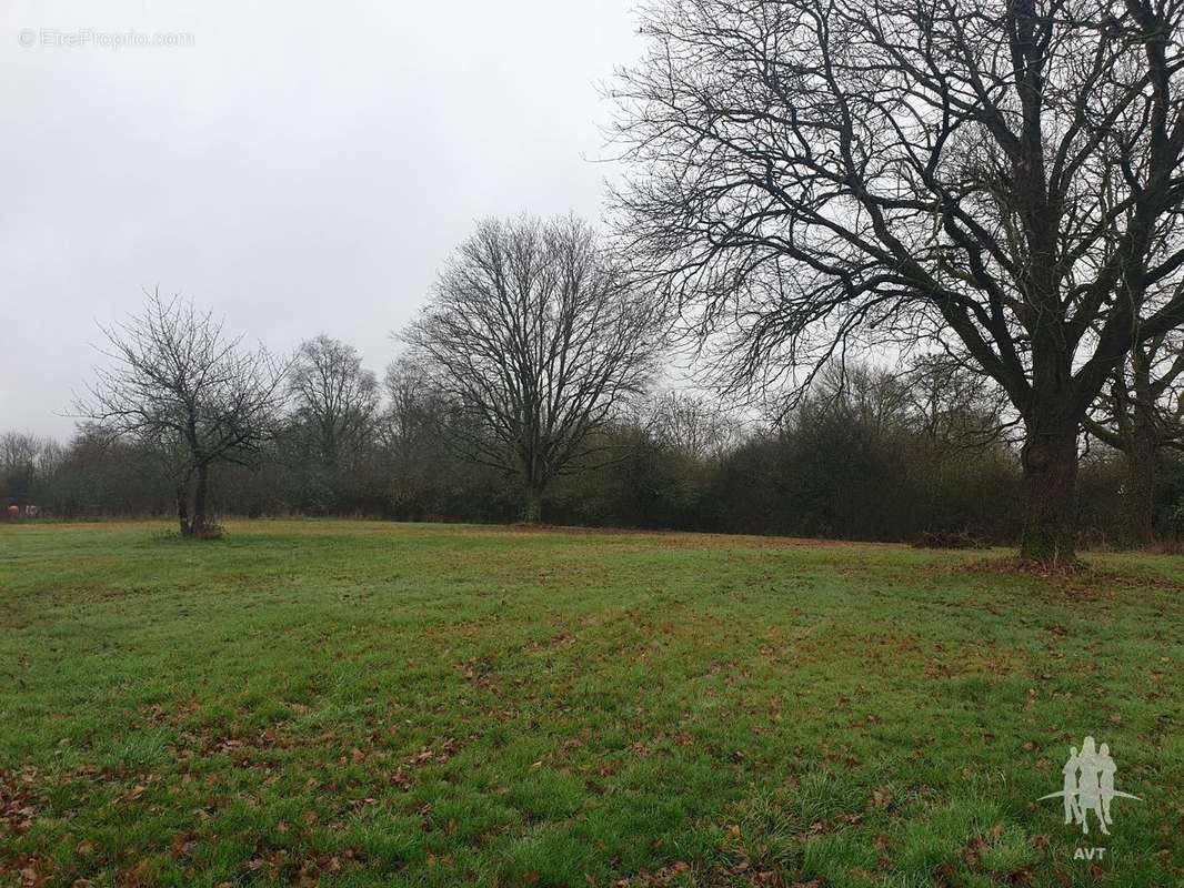 Terrain à AUZOUER-EN-TOURAINE