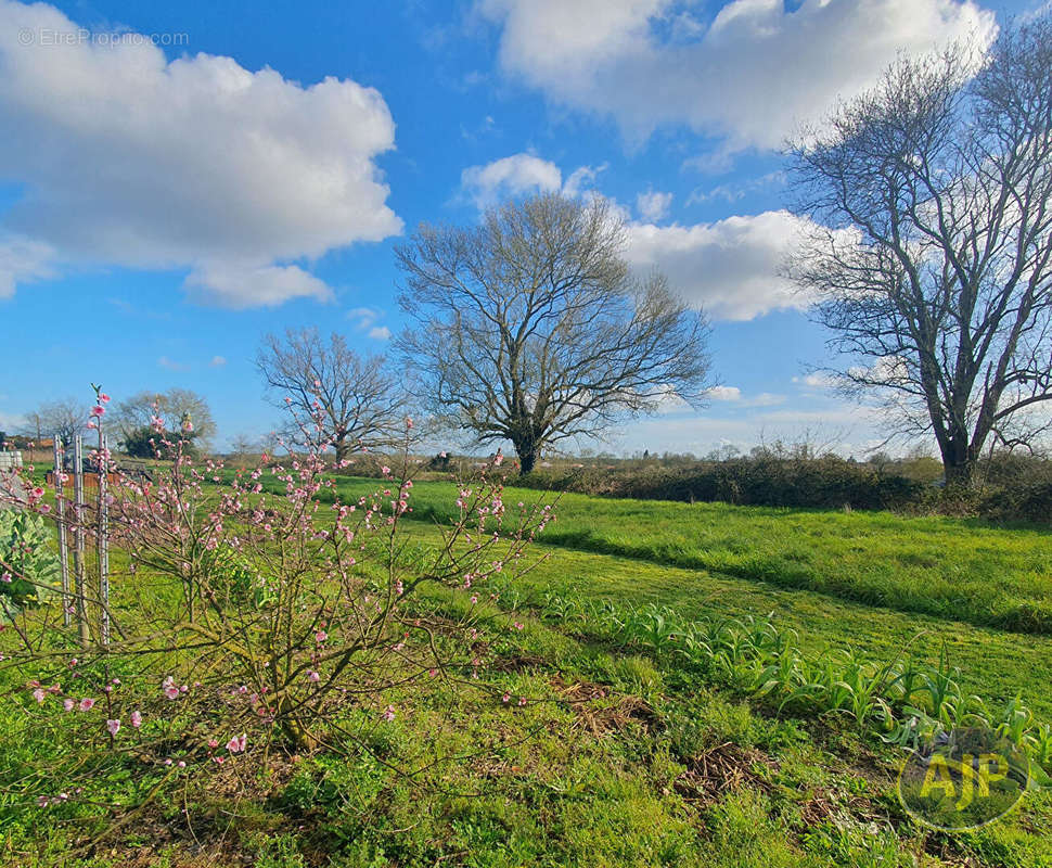 Terrain à SAINT-HILAIRE-DE-CLISSON