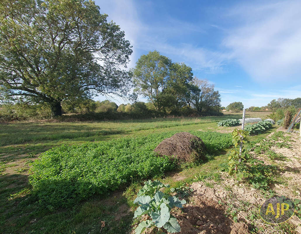 Terrain à SAINT-HILAIRE-DE-CLISSON