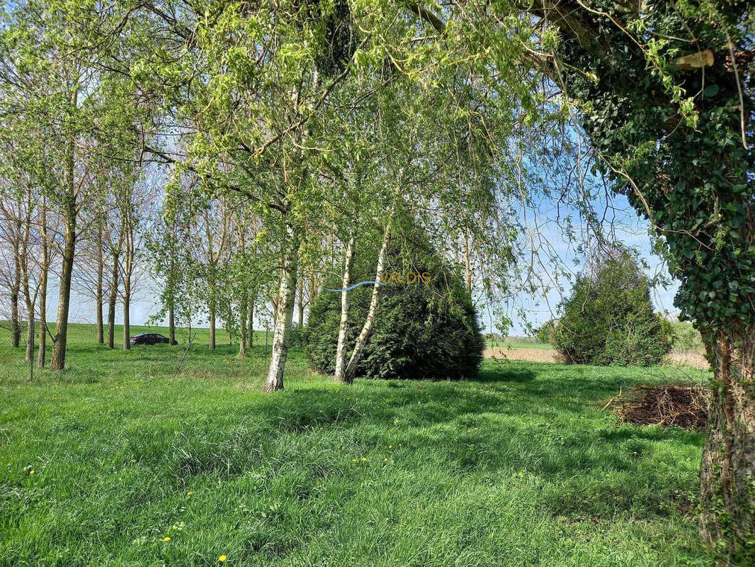 Terrain à MONTAIGU