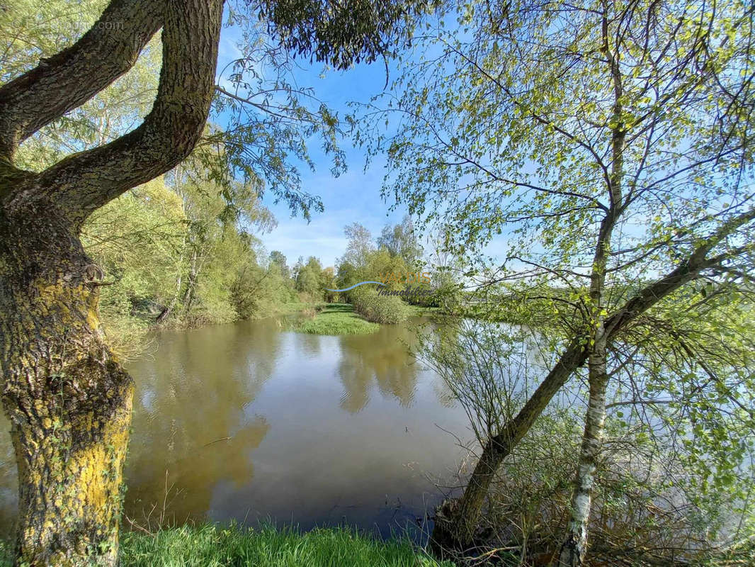 Terrain à MONTAIGU