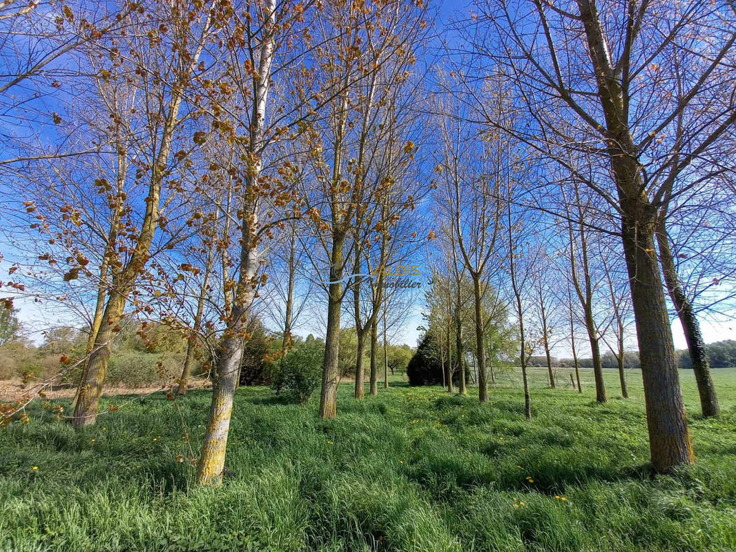 Terrain à MONTAIGU