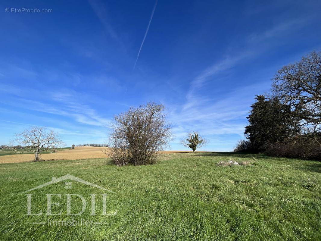 Terrain à MAIGNAUT-TAUZIA