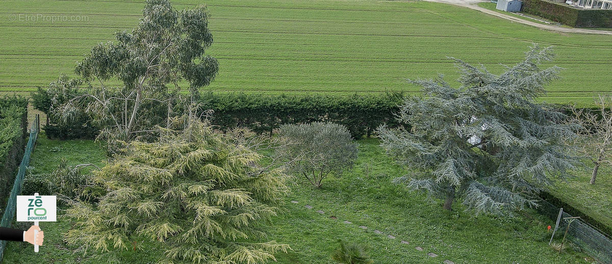 Terrain à LONGEVILLE-SUR-MER