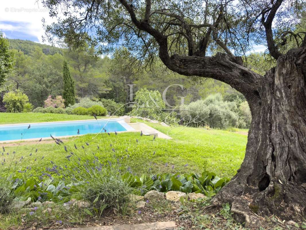 Maison à FAYENCE