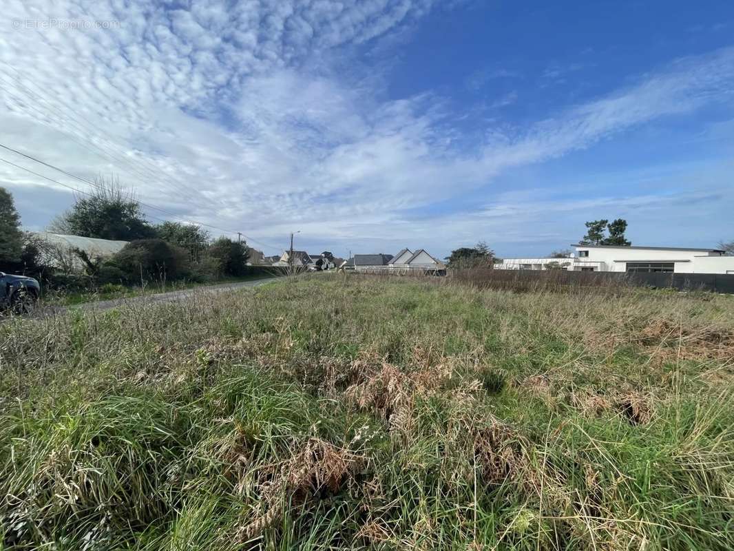 Terrain à TREVOU-TREGUIGNEC