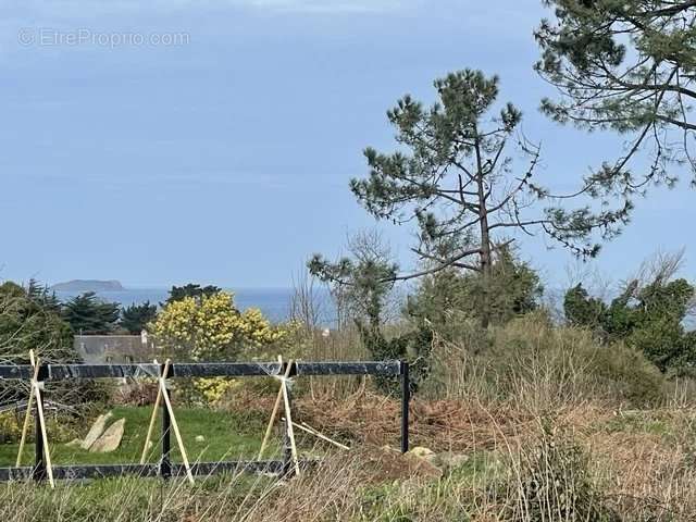 Terrain à TREVOU-TREGUIGNEC