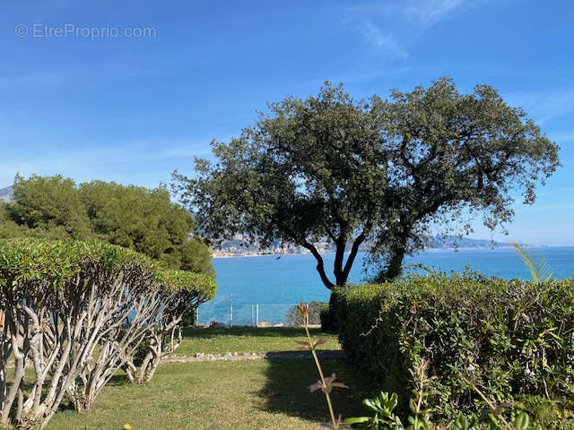 Appartement à ROQUEBRUNE-CAP-MARTIN