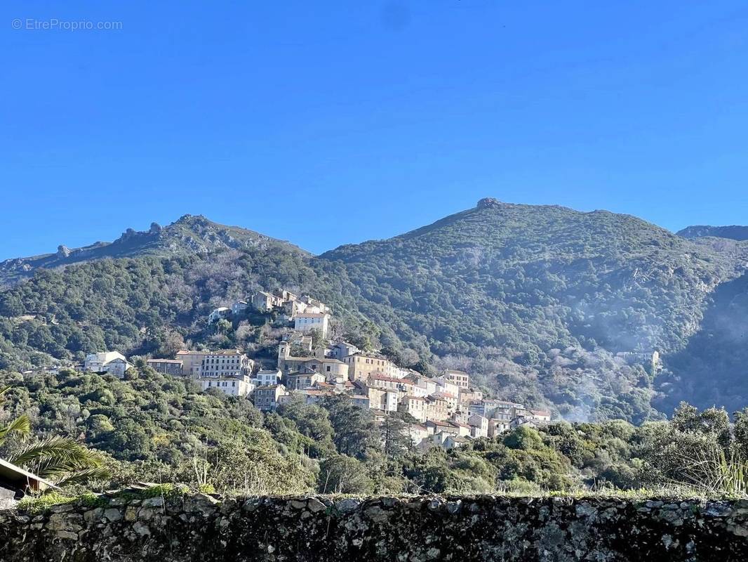 Appartement à SAINT-FLORENT