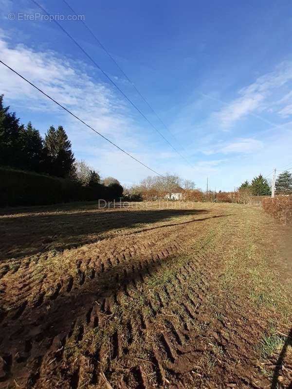 Terrain à BEAUMONT-LE-ROGER