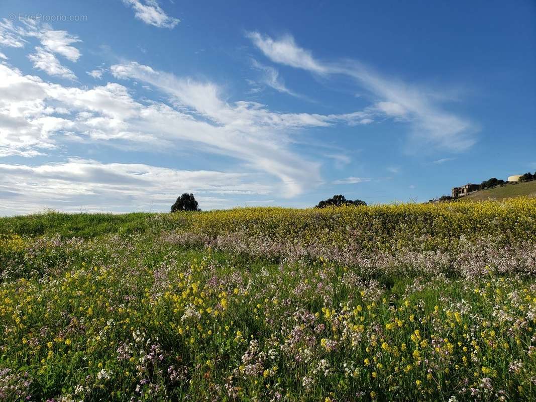 Terrain à MIREBEAU-SUR-BEZE