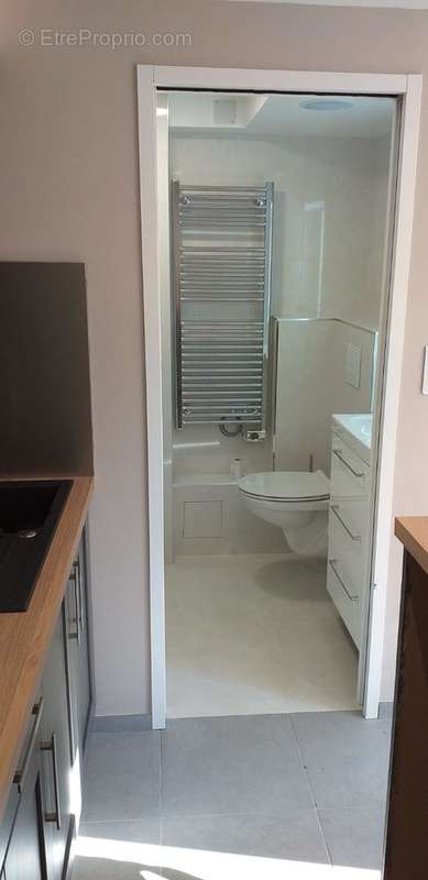 SDD et wc Studio - Appartement à BONSECOURS