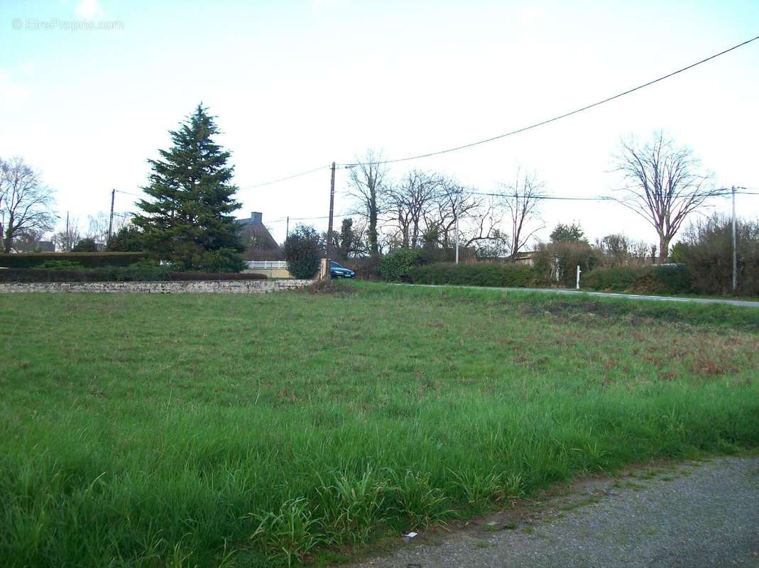 Terrain à SAINT-NICOLAS-DE-REDON