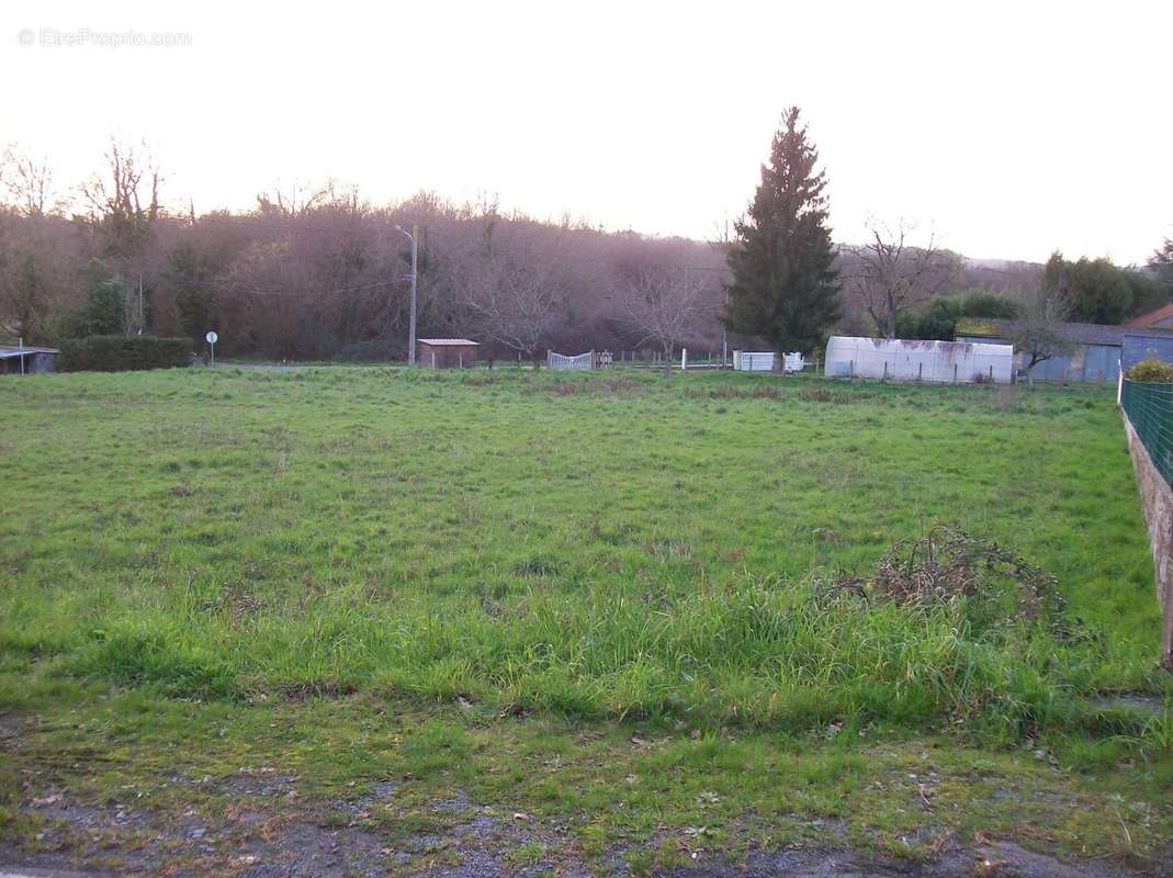 Terrain à SAINT-NICOLAS-DE-REDON