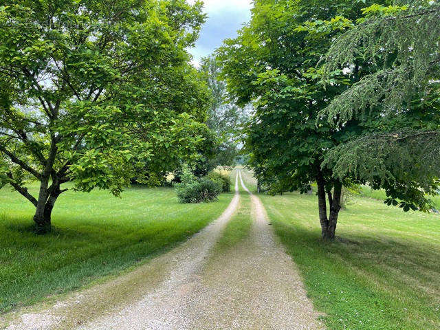 chemin privé - Maison à MARCIAC