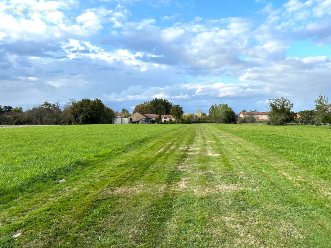 à vendre MARCIAC maison bigourdane avec piste ULM - Maison à MARCIAC