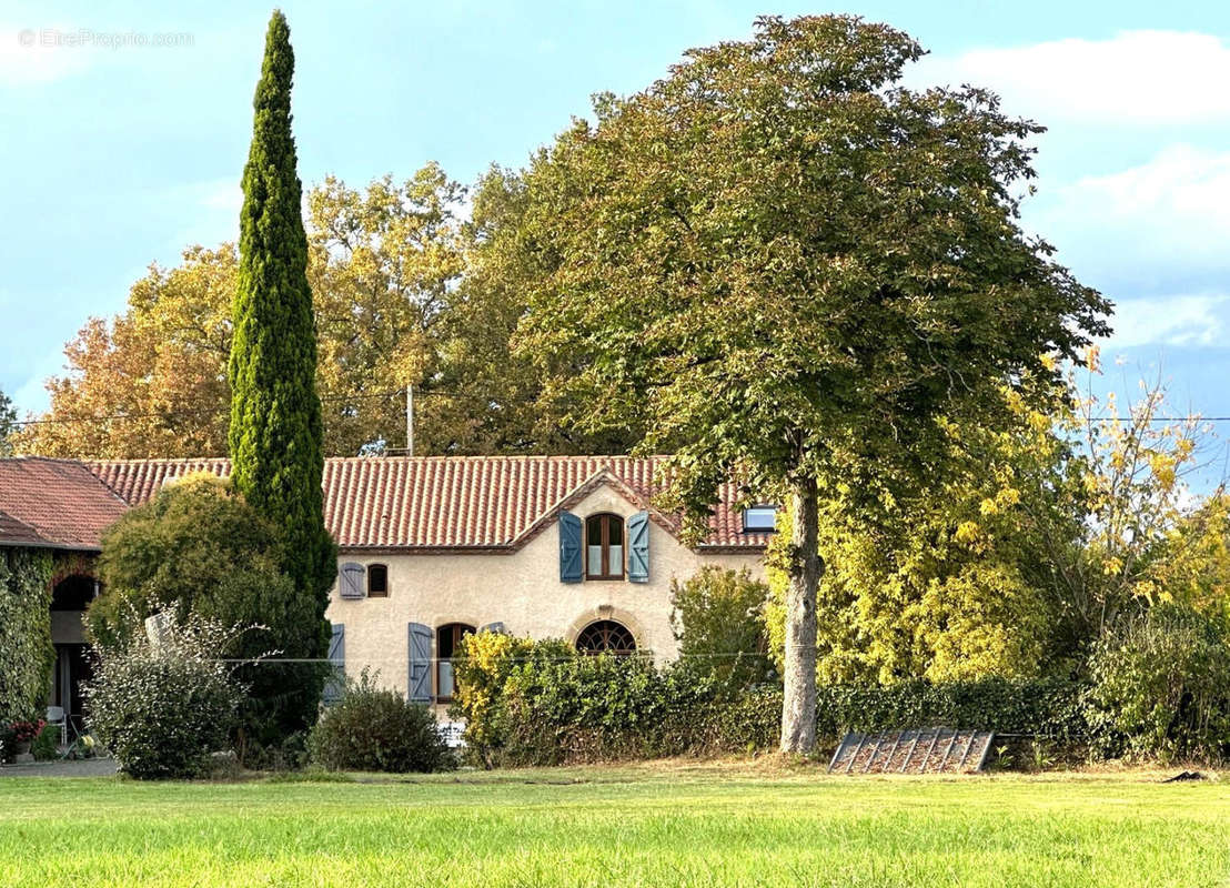 façade sud - Maison à MARCIAC