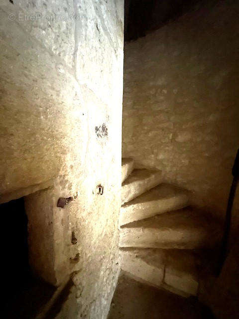 escalier en pierre - Maison à AUCH