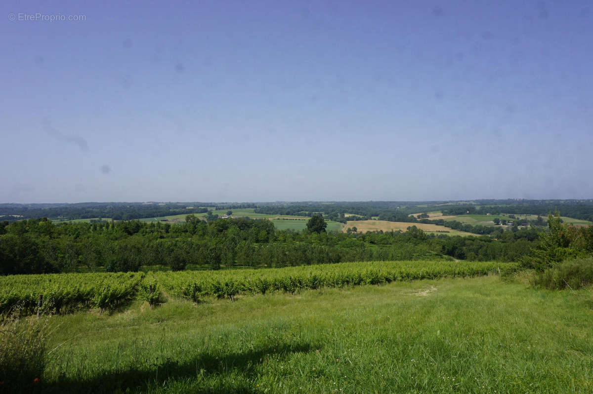 vue de la piscine - Maison à CONDOM