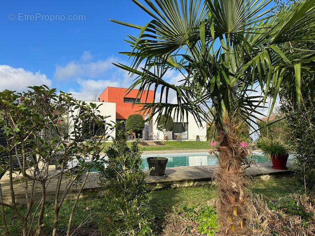 façade jardin - Maison à AUCH