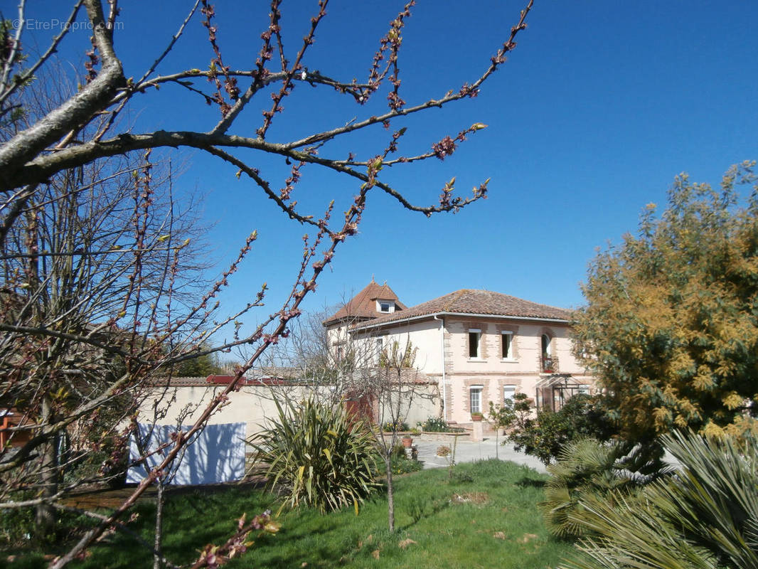 à vendre propriété Hte Garonne avec gite piscine - Maison à TOULOUSE