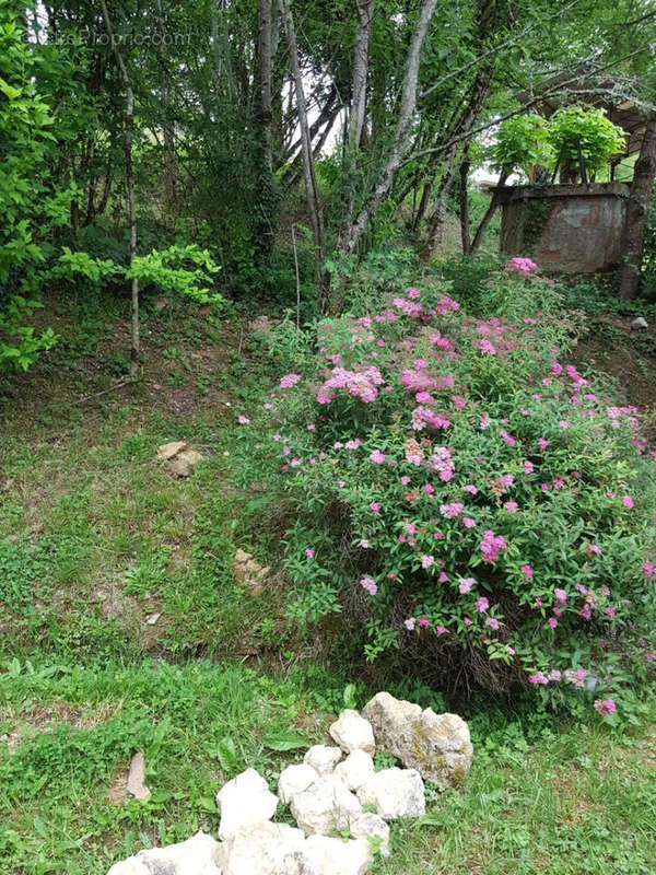 jardin - Maison à VIC-FEZENSAC