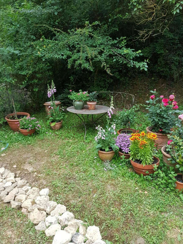 jardin - Maison à VIC-FEZENSAC