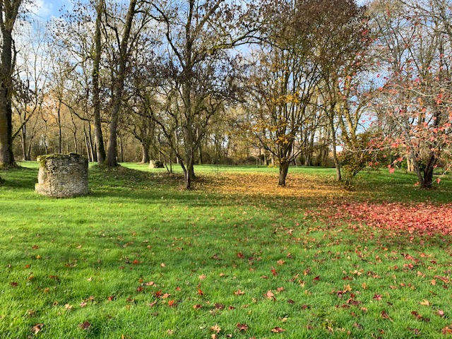 parc - Maison à CASTERA-VERDUZAN