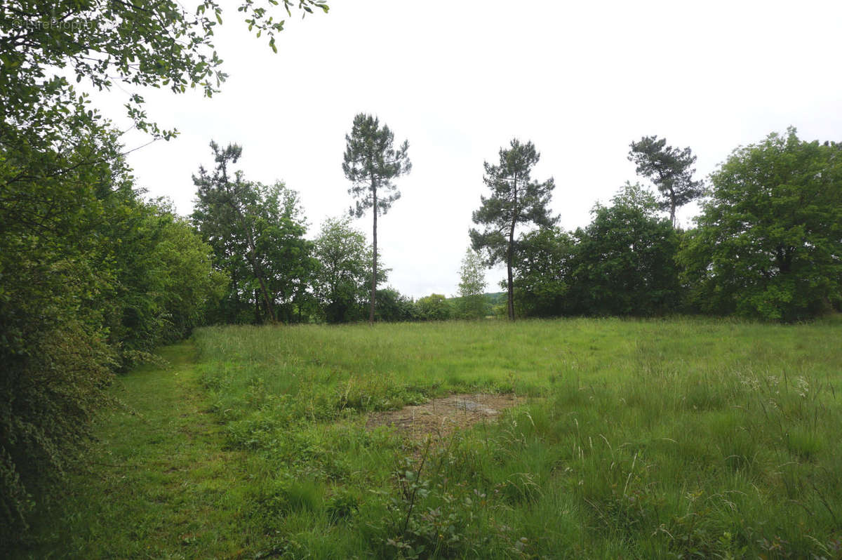 à vendre entre Eauze et Condom terrain 2604 m² - Terrain à EAUZE