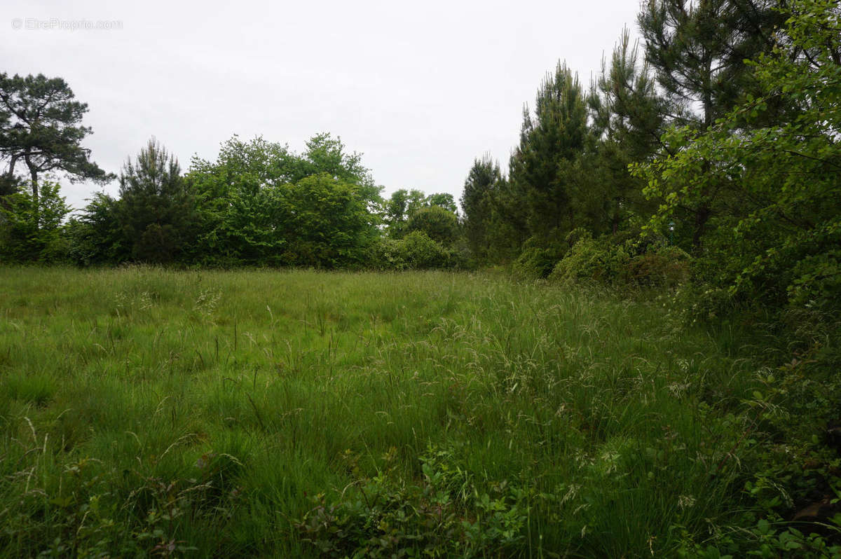 à vendre entre Eauze et Condom terrain 2604 m² - Terrain à EAUZE