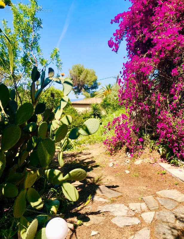 Maison à SAINT-TROPEZ