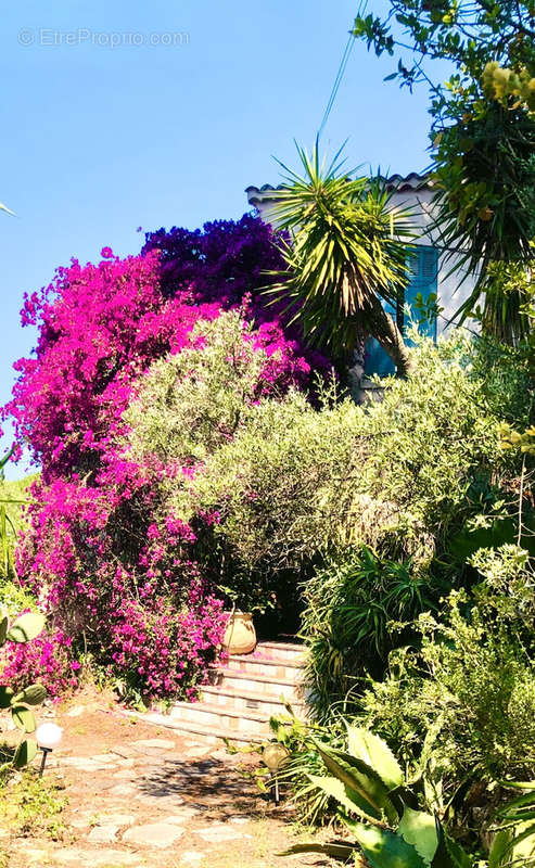 Maison à SAINT-TROPEZ