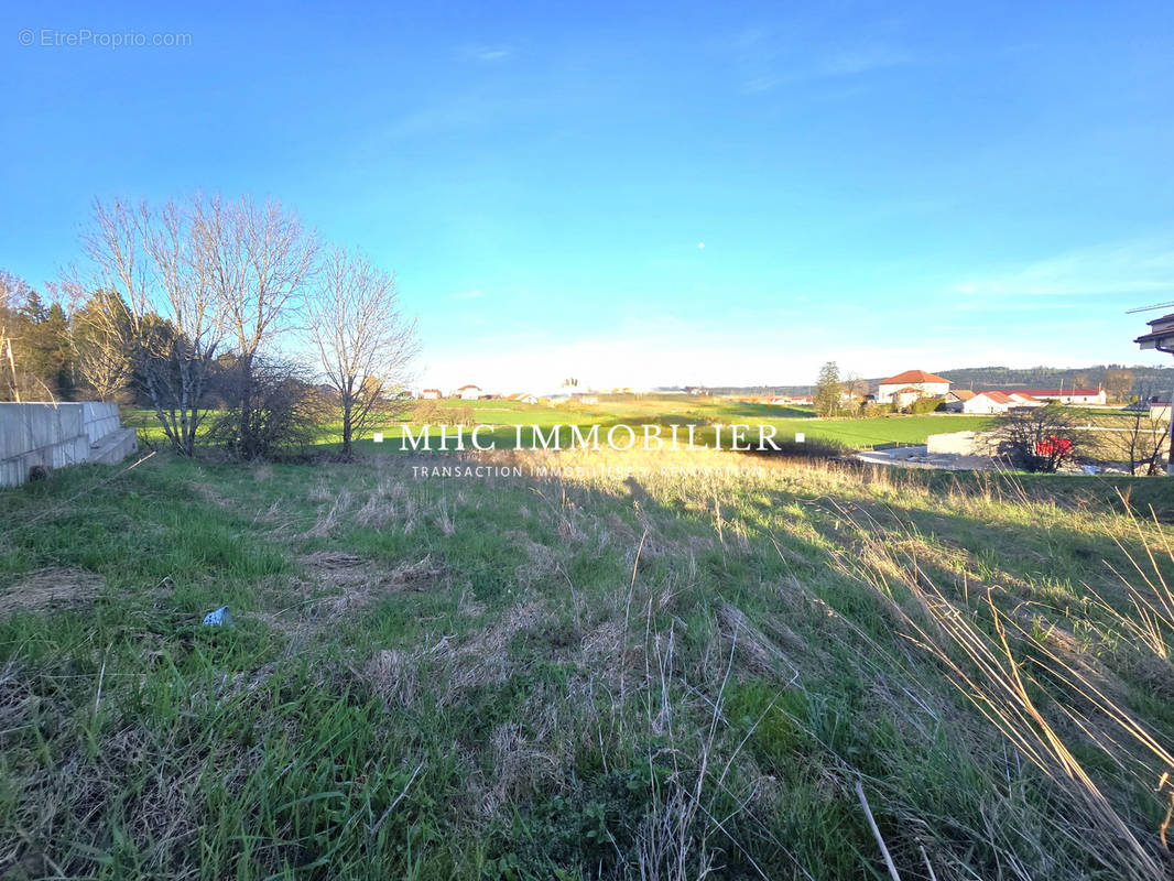 Terrain à ORCHAMPS-VENNES