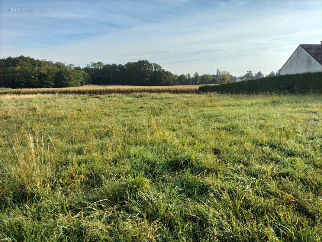 Terrain à SENS