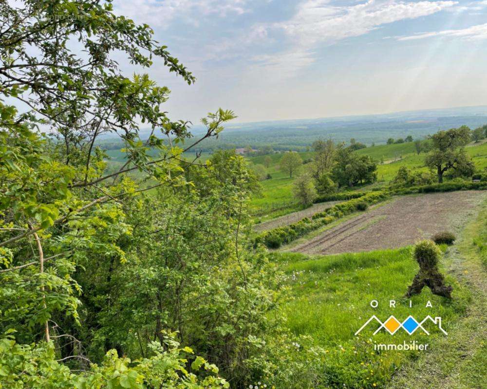 Terrain à MOUSSON