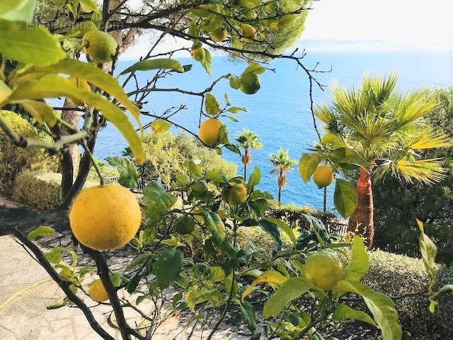 Maison à EZE