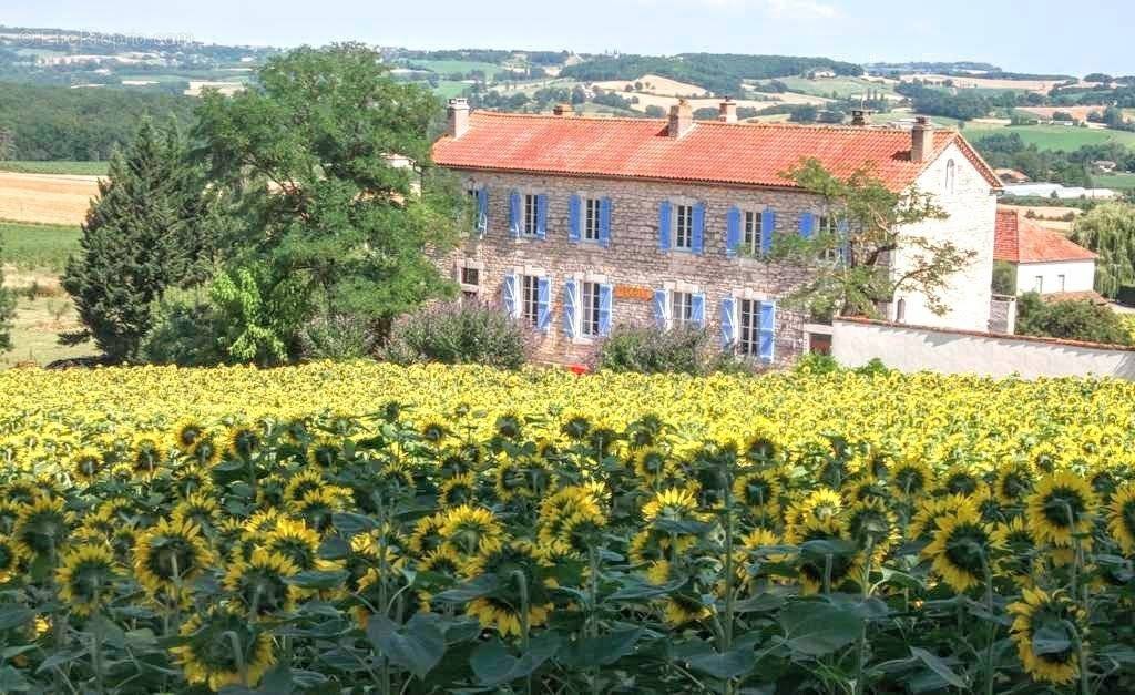 Maison à MONTPEZAT-DE-QUERCY