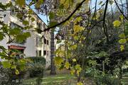 Appartement à SEVRES