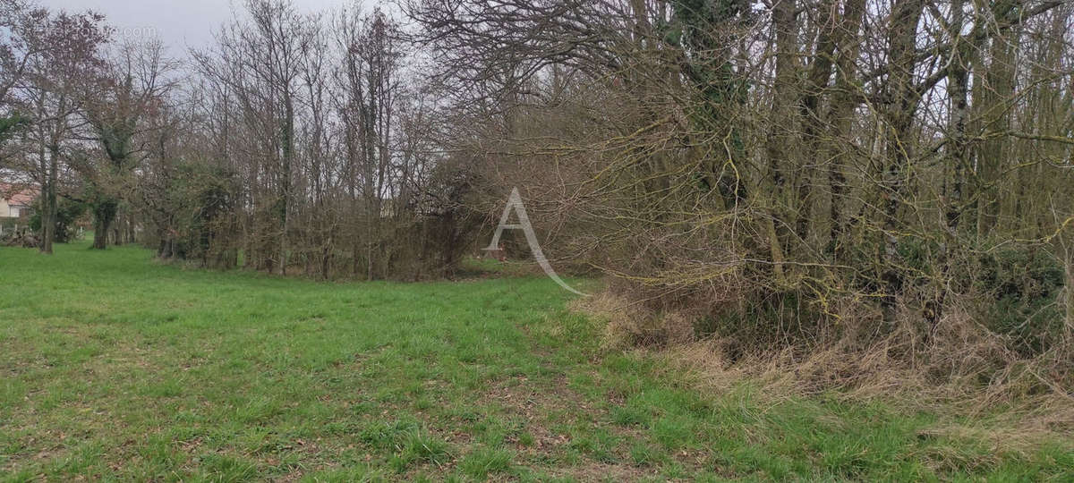 Terrain à LUCAY-LE-MALE