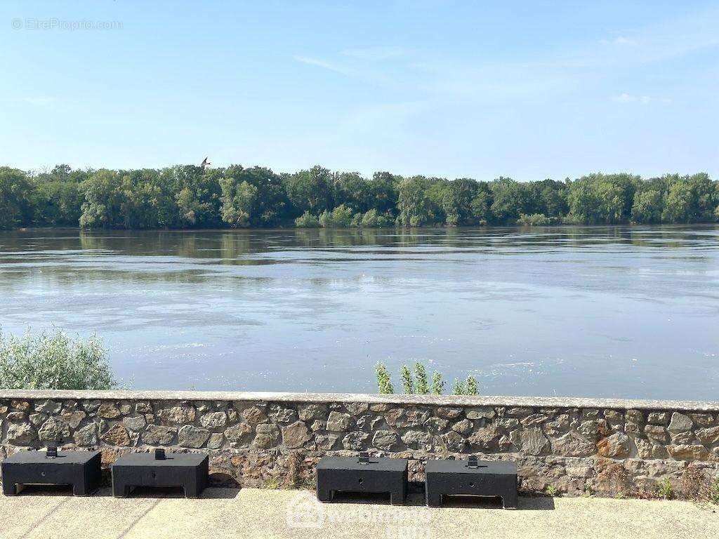 ... avec magnifique vue sur la Loire. - Maison à BRION