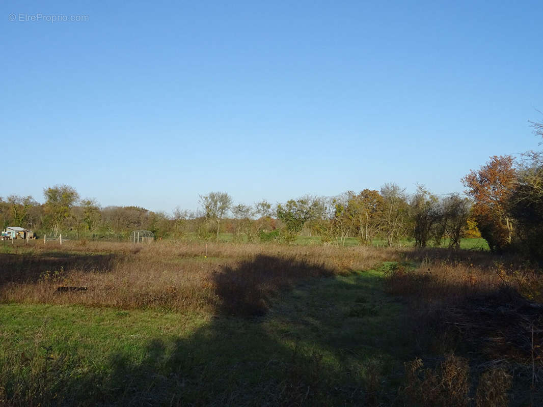 Terrain à BOULLERET