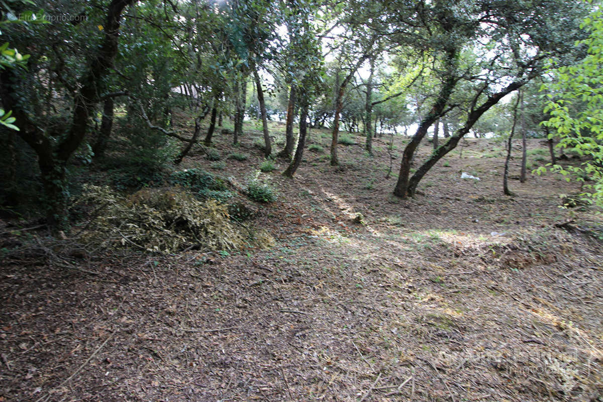 Terrain à RIANS