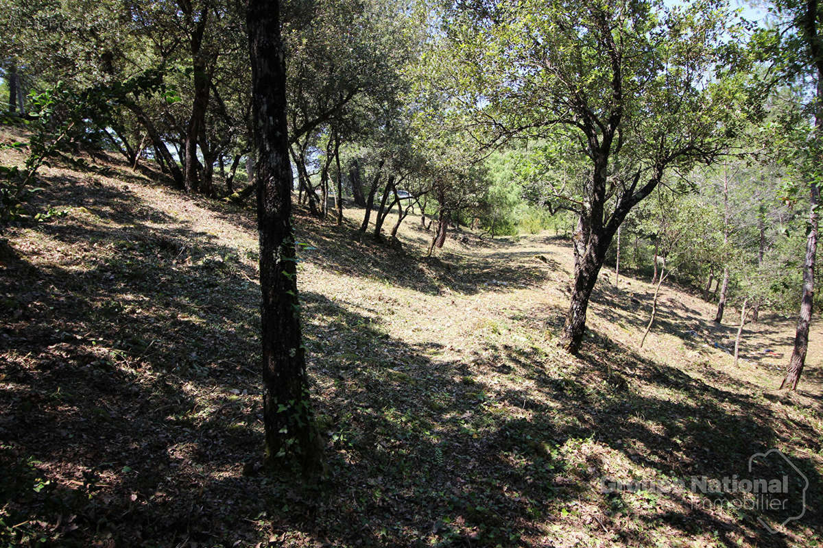 Terrain à RIANS