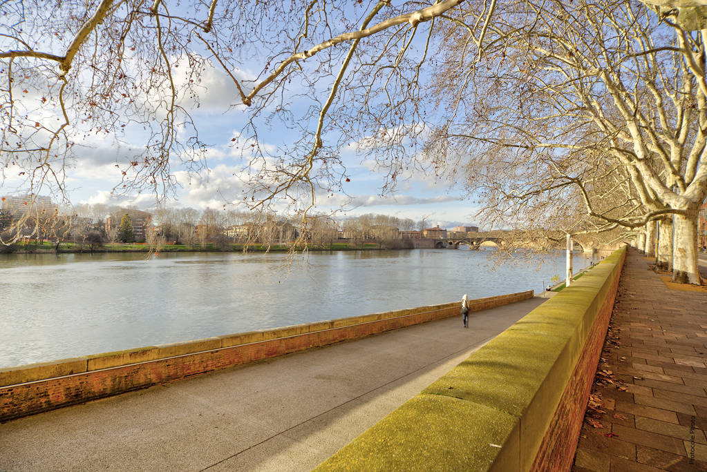   - Appartement à TOULOUSE