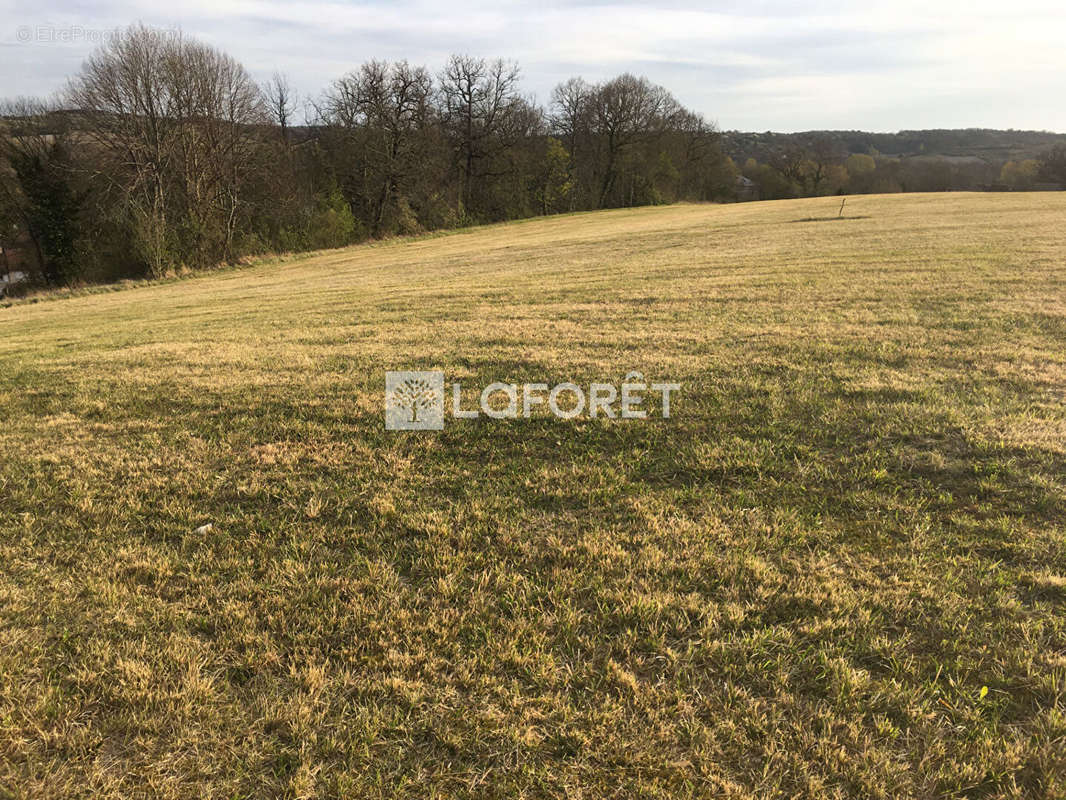 Terrain à SAINT-MEARD-DE-DRONE