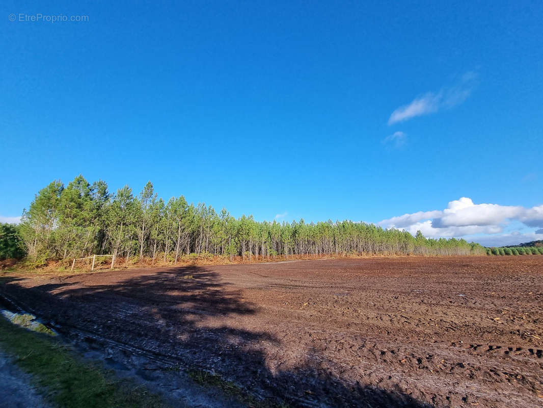 Terrain à LINXE