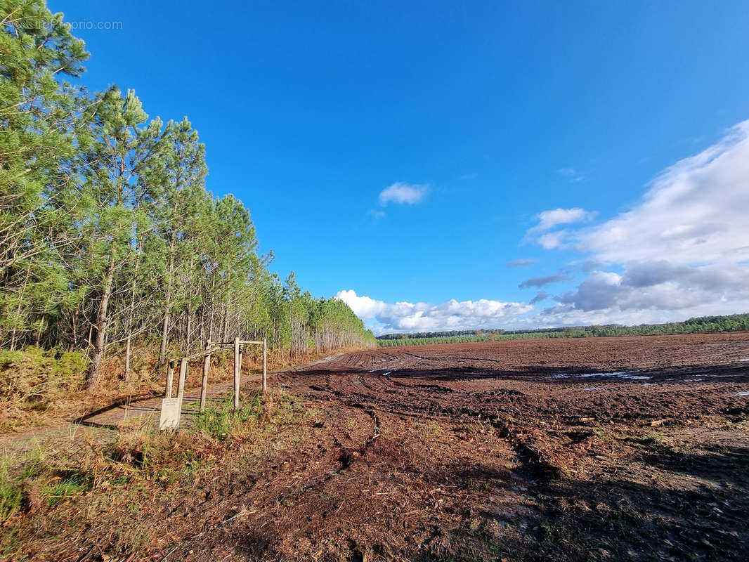 Terrain à LINXE